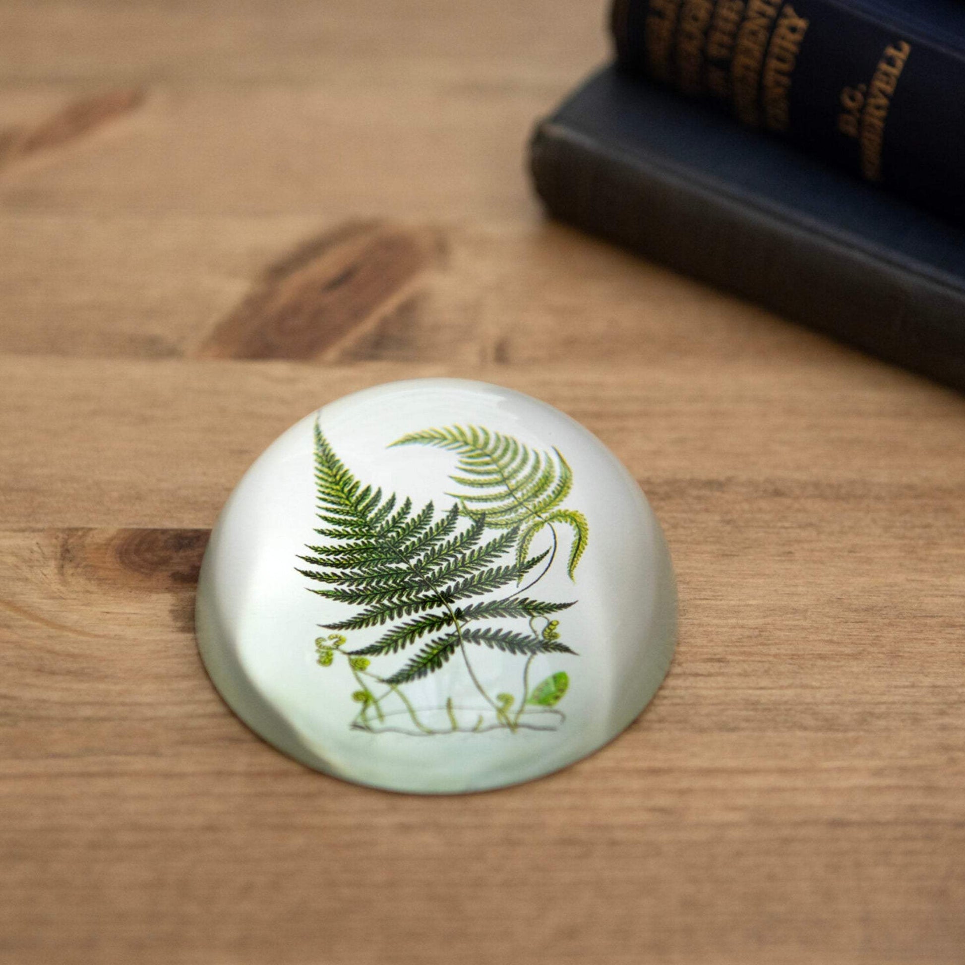 Ferns Glass Paperweight - The Farthing