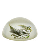 Ferns Glass Paperweight - The Farthing