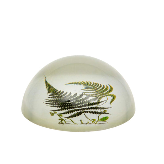 Ferns Glass Paperweight - The Farthing