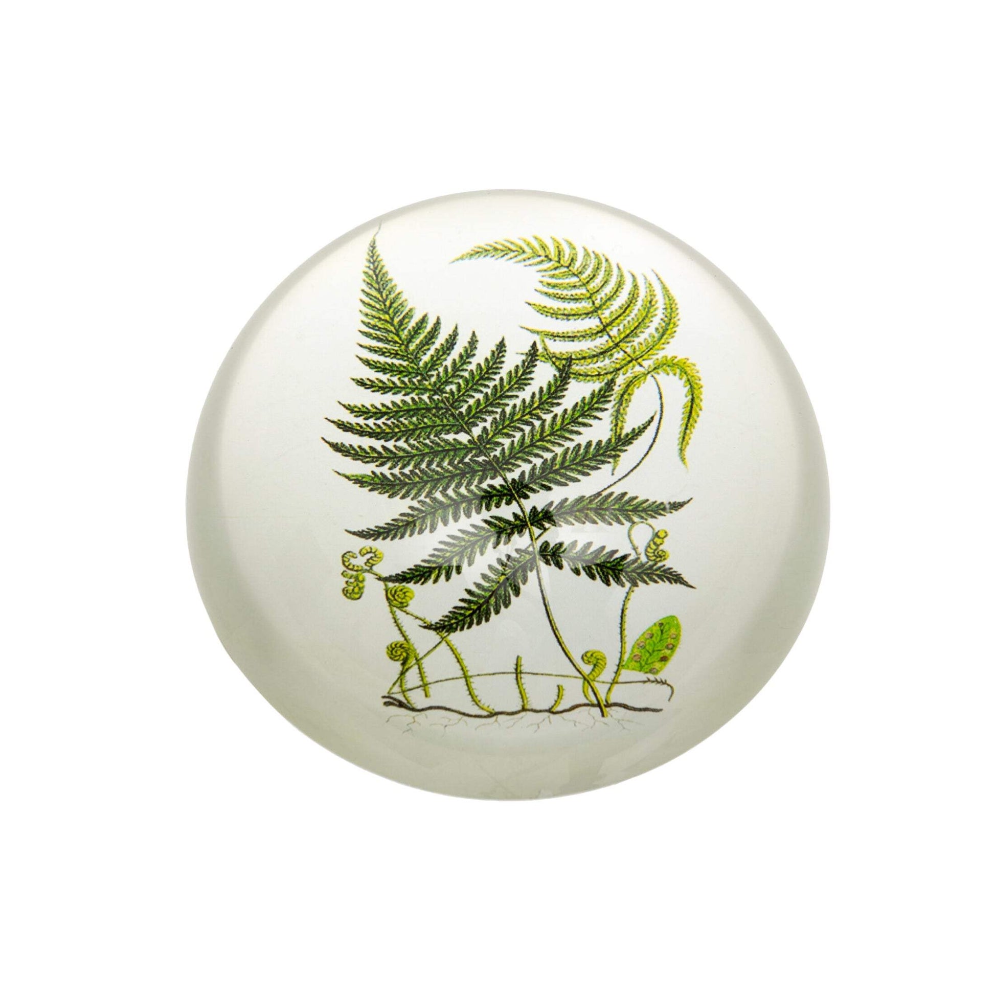 Ferns Glass Paperweight - The Farthing