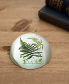 Ferns Glass Paperweight - The Farthing