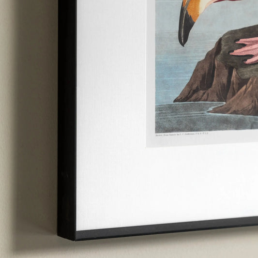 Framed Wading Flamingo Print | Farthing 