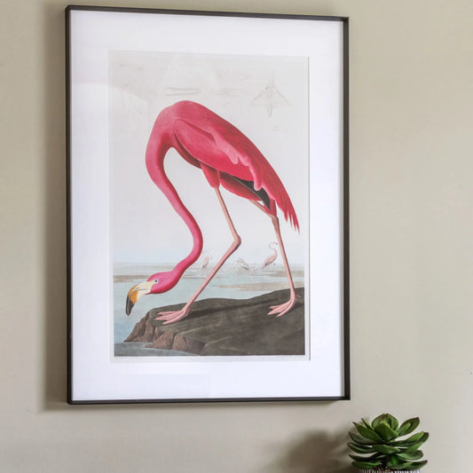 Framed Wading Flamingo Print | Farthing  1