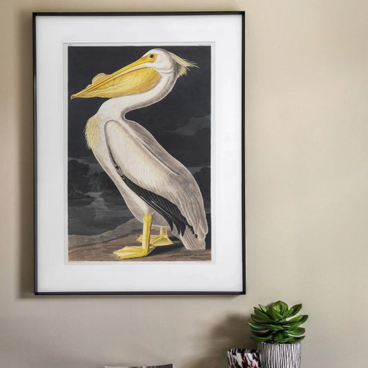 Framed pelican Illustration Print | Farthing  1