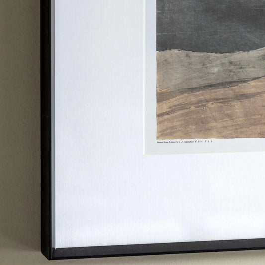 Framed pelican Illustration Print | Farthing  5