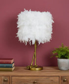 Feathered lamp on a wooden dresser with books and a plant against a pink wall