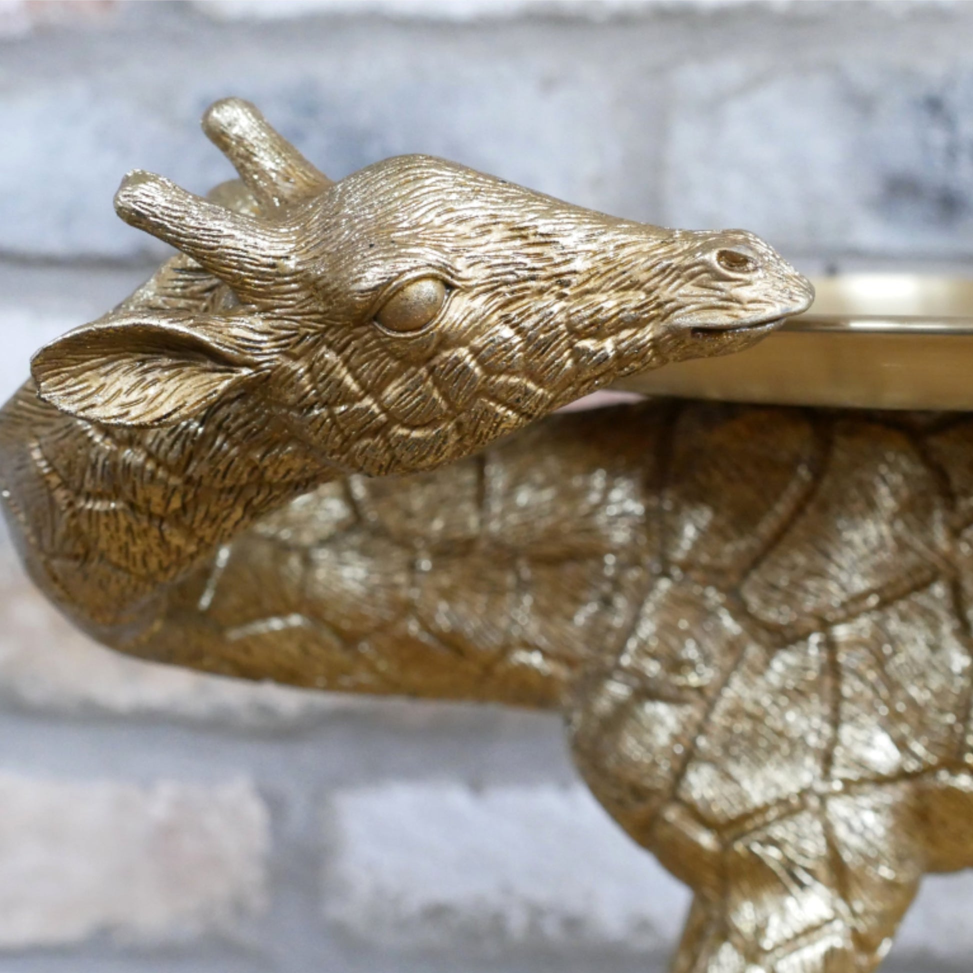 Gold metallic lizard-shaped object on a textured surface