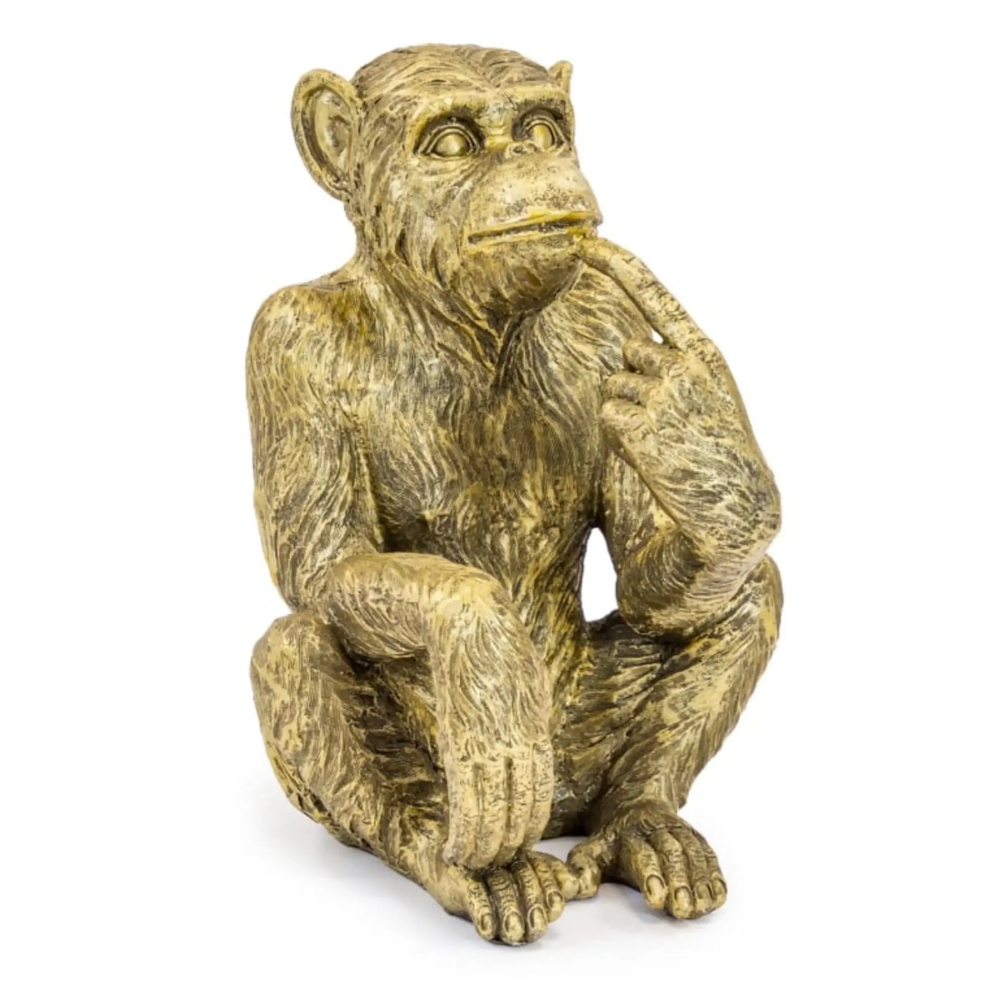 Bronze monkey statue on a white background