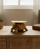 Tortoise-shaped lamp on a wooden surface with a plant and book in the background