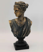 Bronze bust of a classical figure on a white background