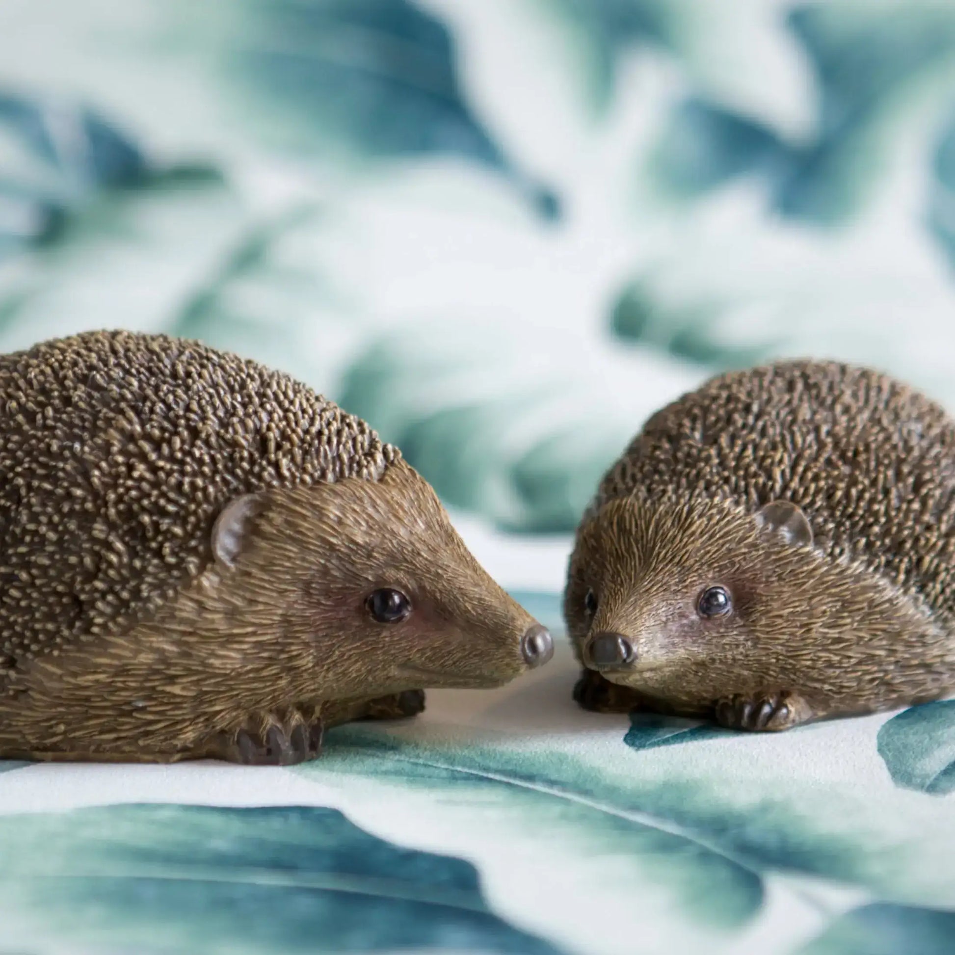 Two hedgehogs facing each other on a leafy background