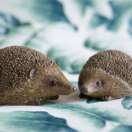 Two hedgehogs facing each other on a leafy background