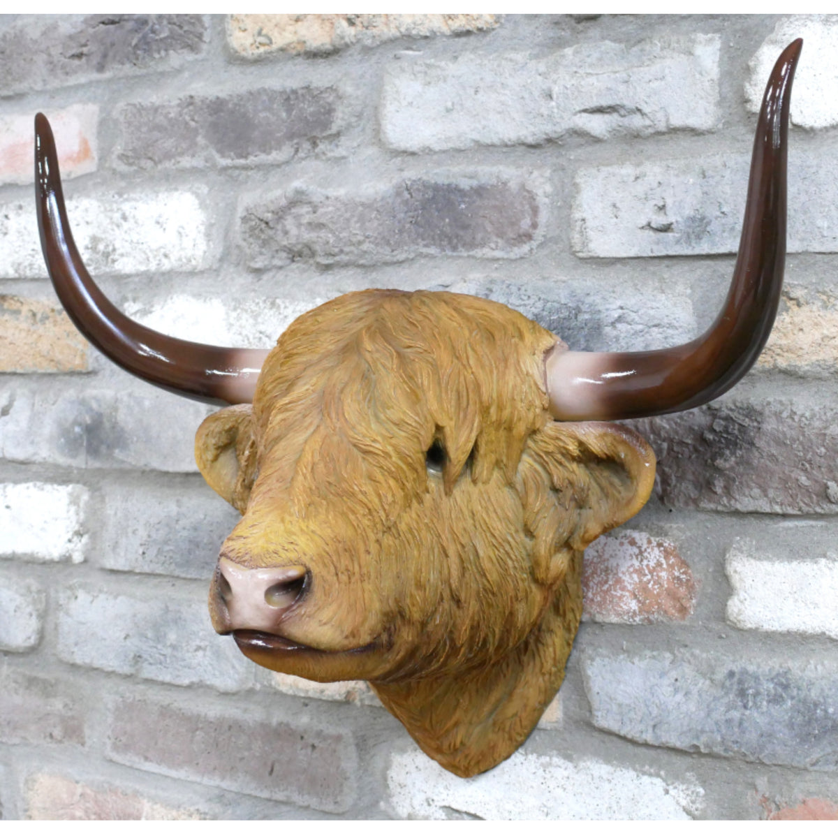A realistic bull head wall mount with long curved dark brown horns, mounted on a gray brick wall.