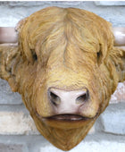 A realistic Highland cow or bull head wall mount with long curved horns, mounted on a gray brick wall.