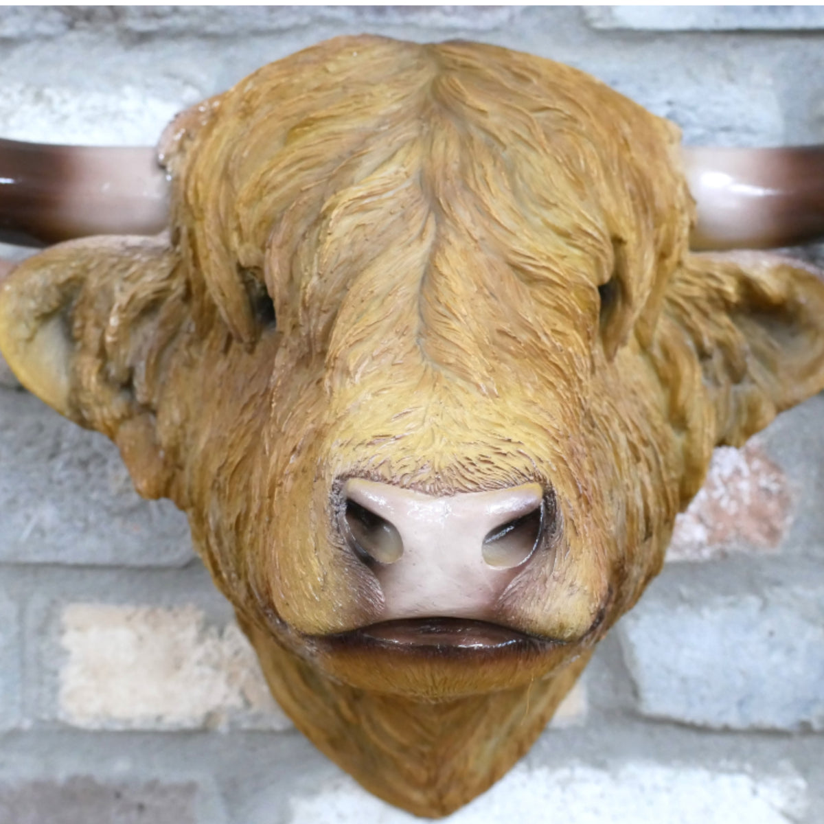 A realistic Highland cow or bull head wall mount with long curved horns, mounted on a gray brick wall.