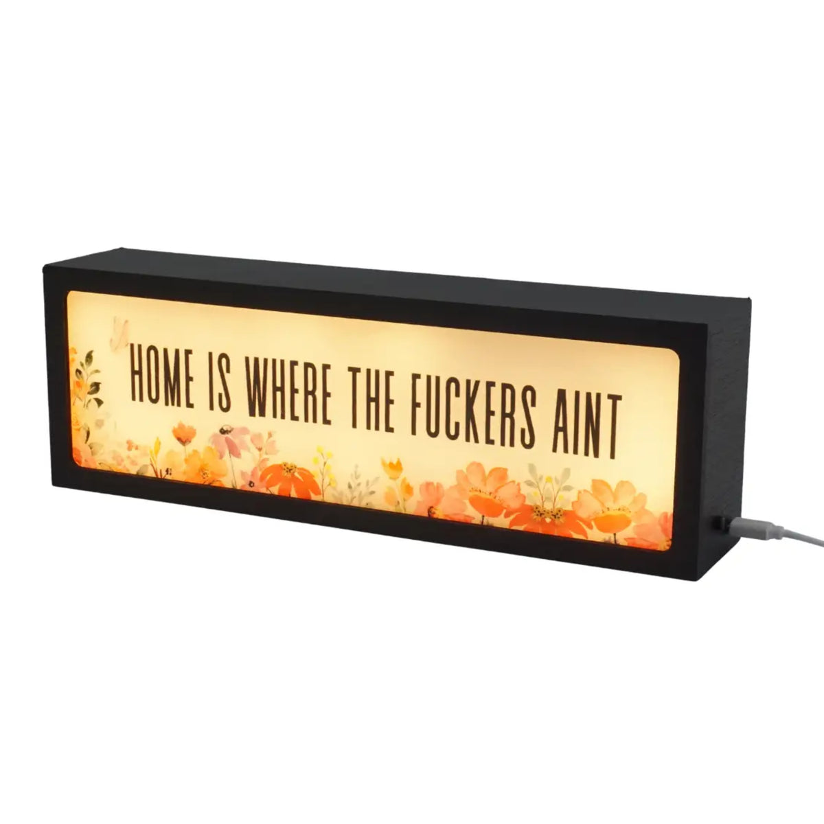 Home Is Where The Fuckers Ain’t LED Light Box 1