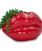 Red lip-shaped planter with green succulents on a white background