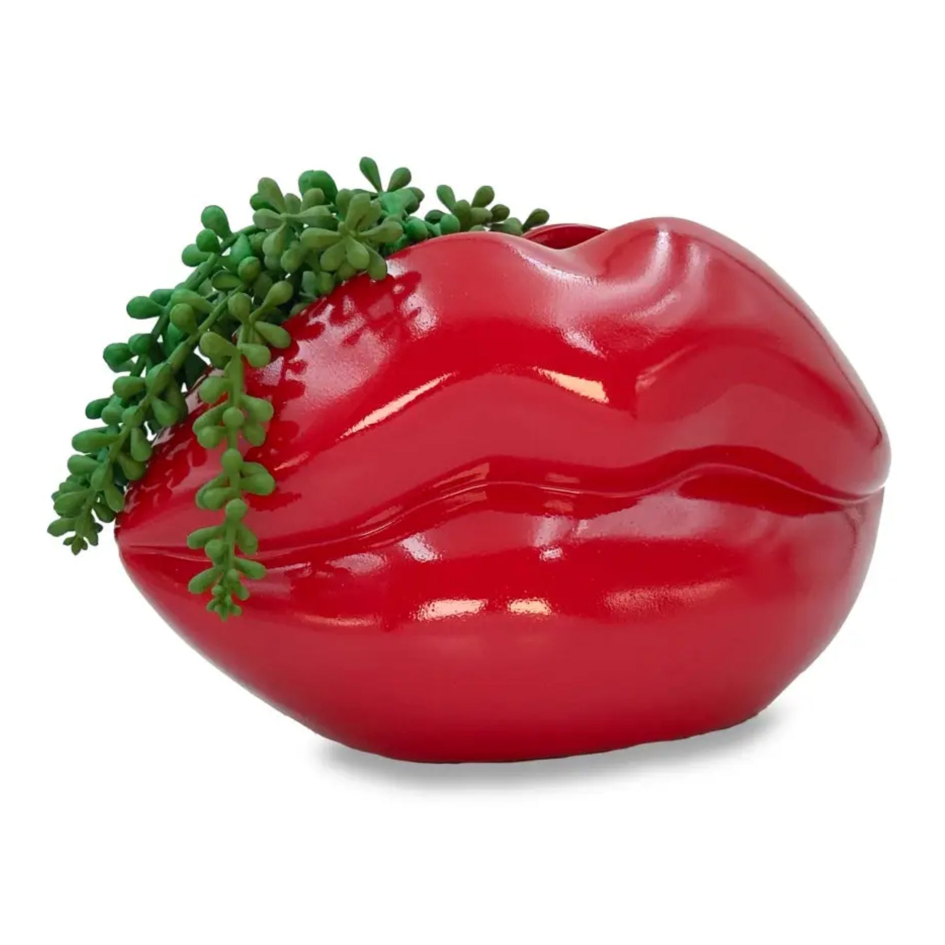 Red lip-shaped planter with green succulents on a white background