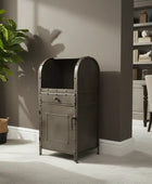 Decorative metal cabinet in a room with a plant and bookshelf.