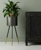 Black plant stand with a green plant next to a rustic black cabinet against a gray wall.