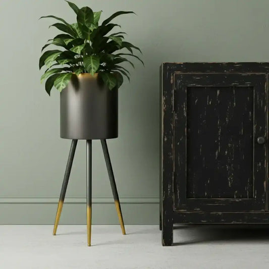 Black plant stand with a green plant next to a rustic black cabinet against a gray wall.