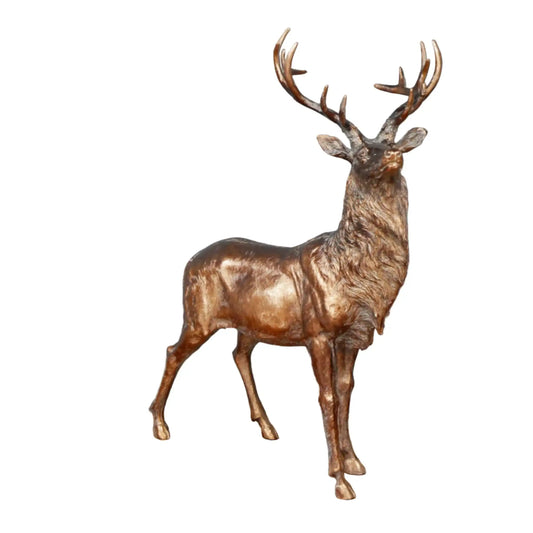 Bronze deer statue on a white background