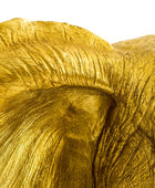 Close-up of a textured gold surface