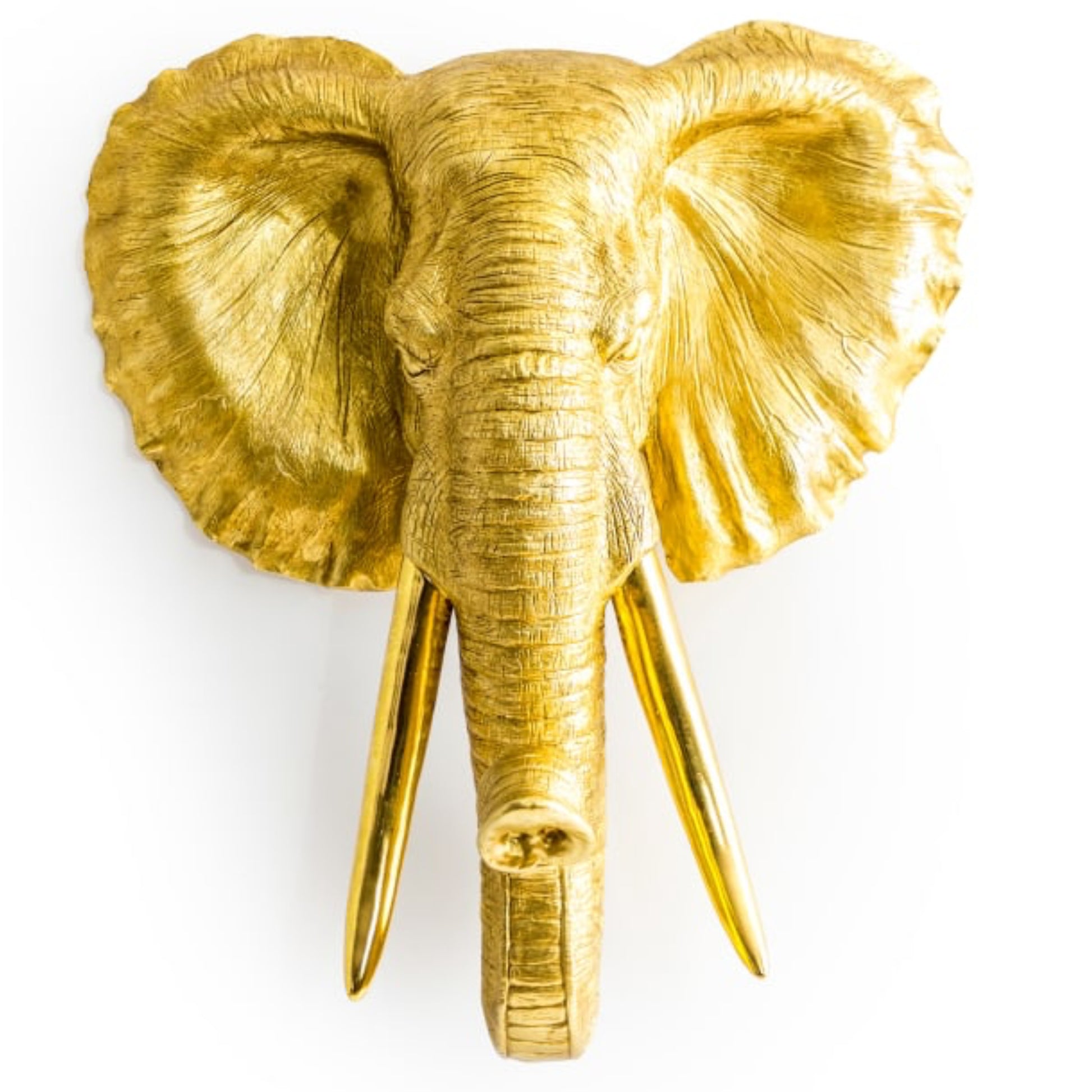 Gold elephant head wall decoration on a white background