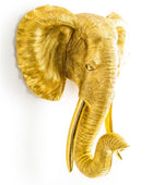 Gold elephant head wall decoration on a white background