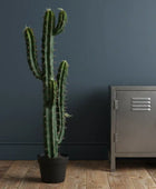 Potted cactus next to a metallic locker against a dark wall.