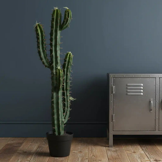 Potted cactus next to a metallic locker against a dark wall.