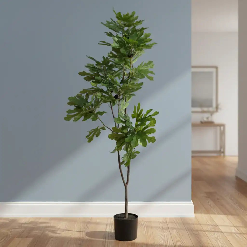 LargeFauxFigTree