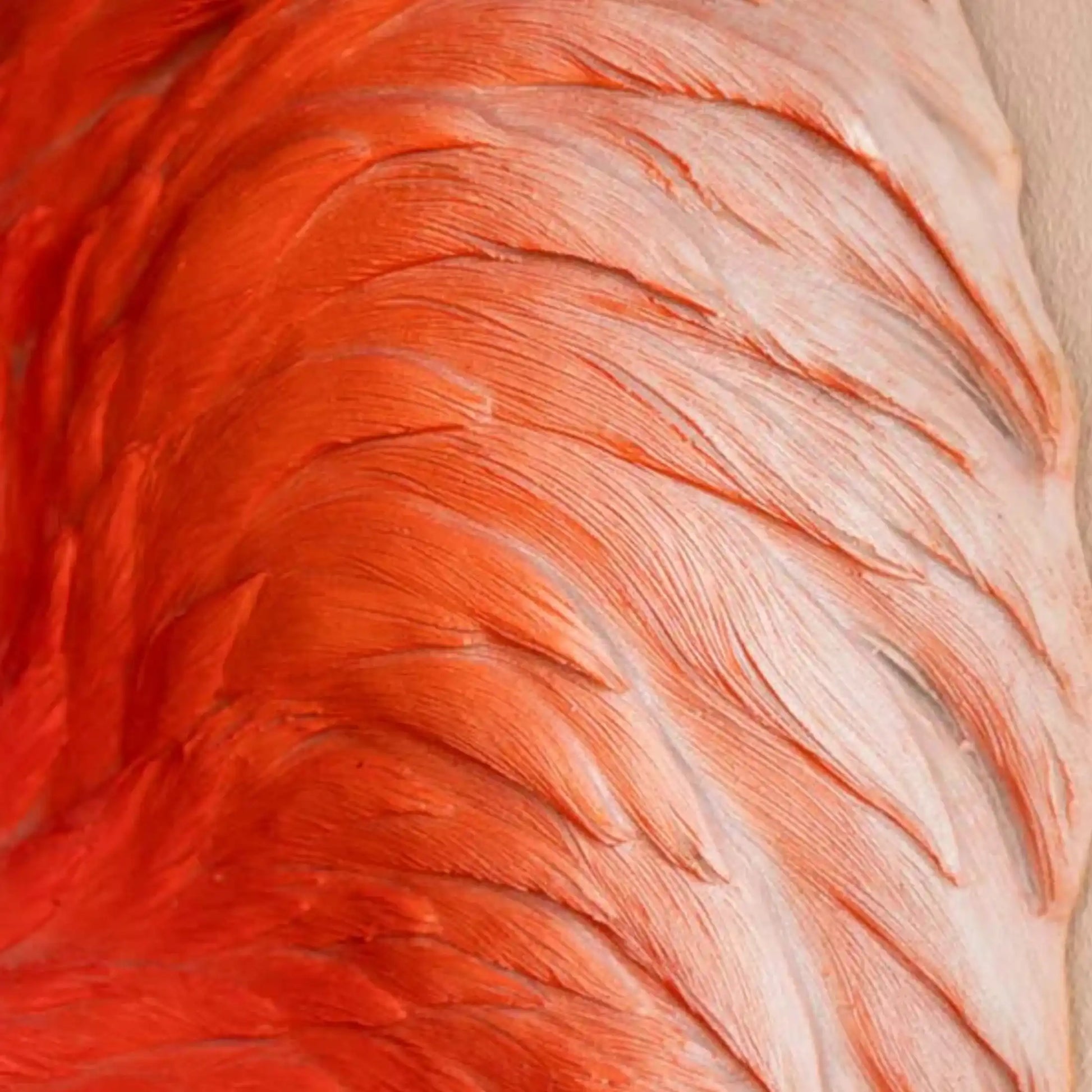 Close-up of pink and red feathers
