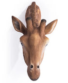Deer head wall mount on a white background
