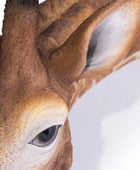 Close-up of a deer's eye and part of its face on a white background
