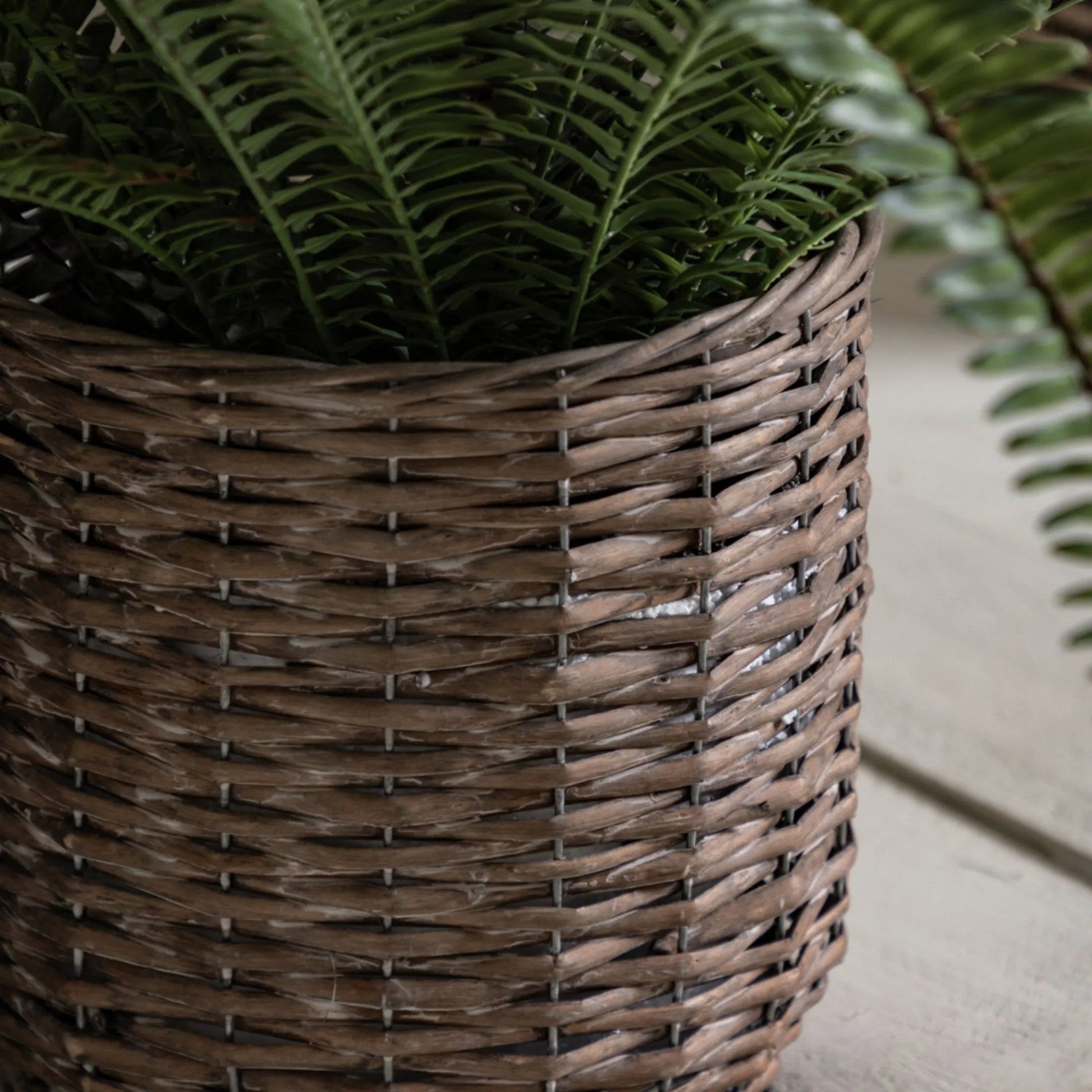 Large Faux Green Fern in Wicker Pot 54