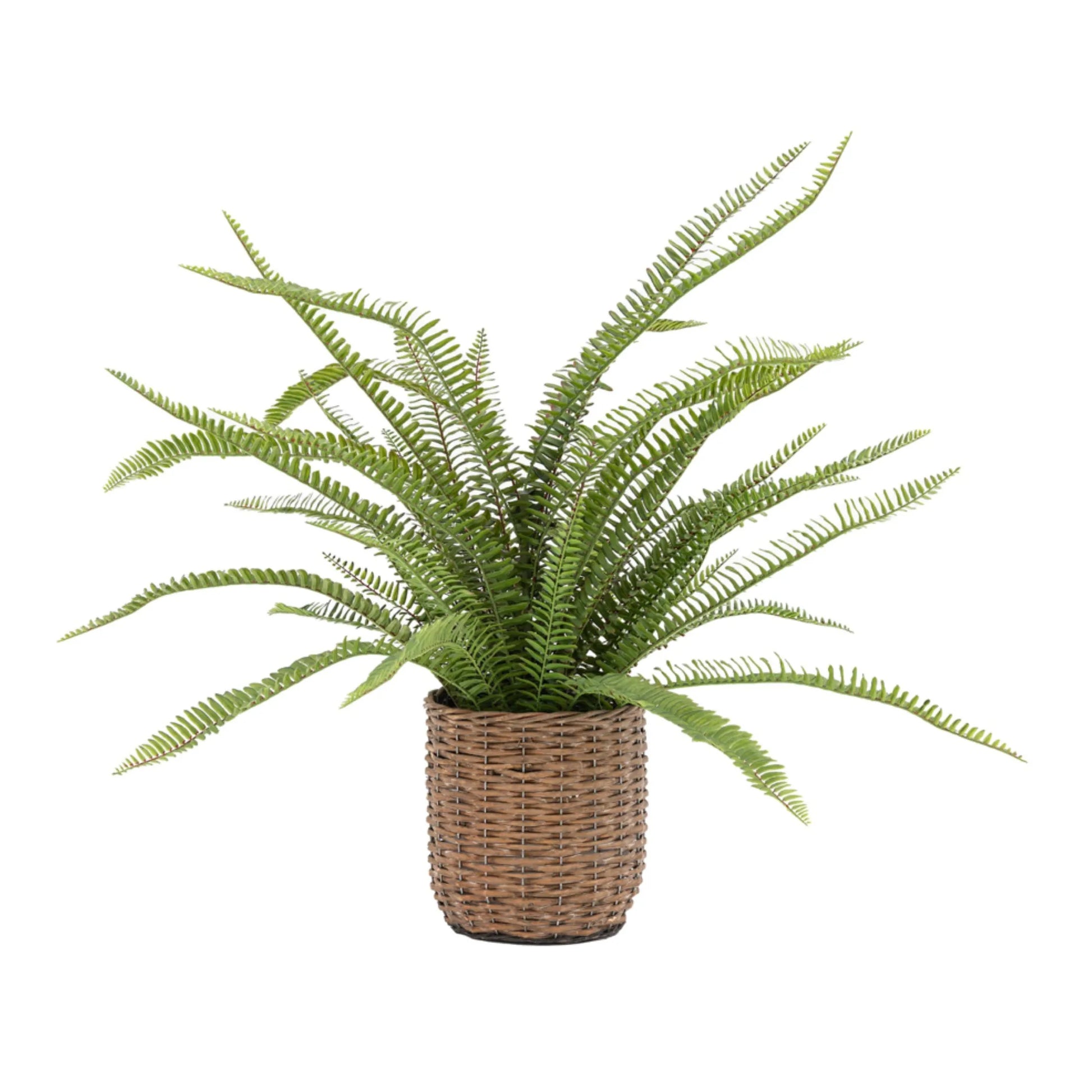 Large Faux Green Fern in Wicker Pot 1