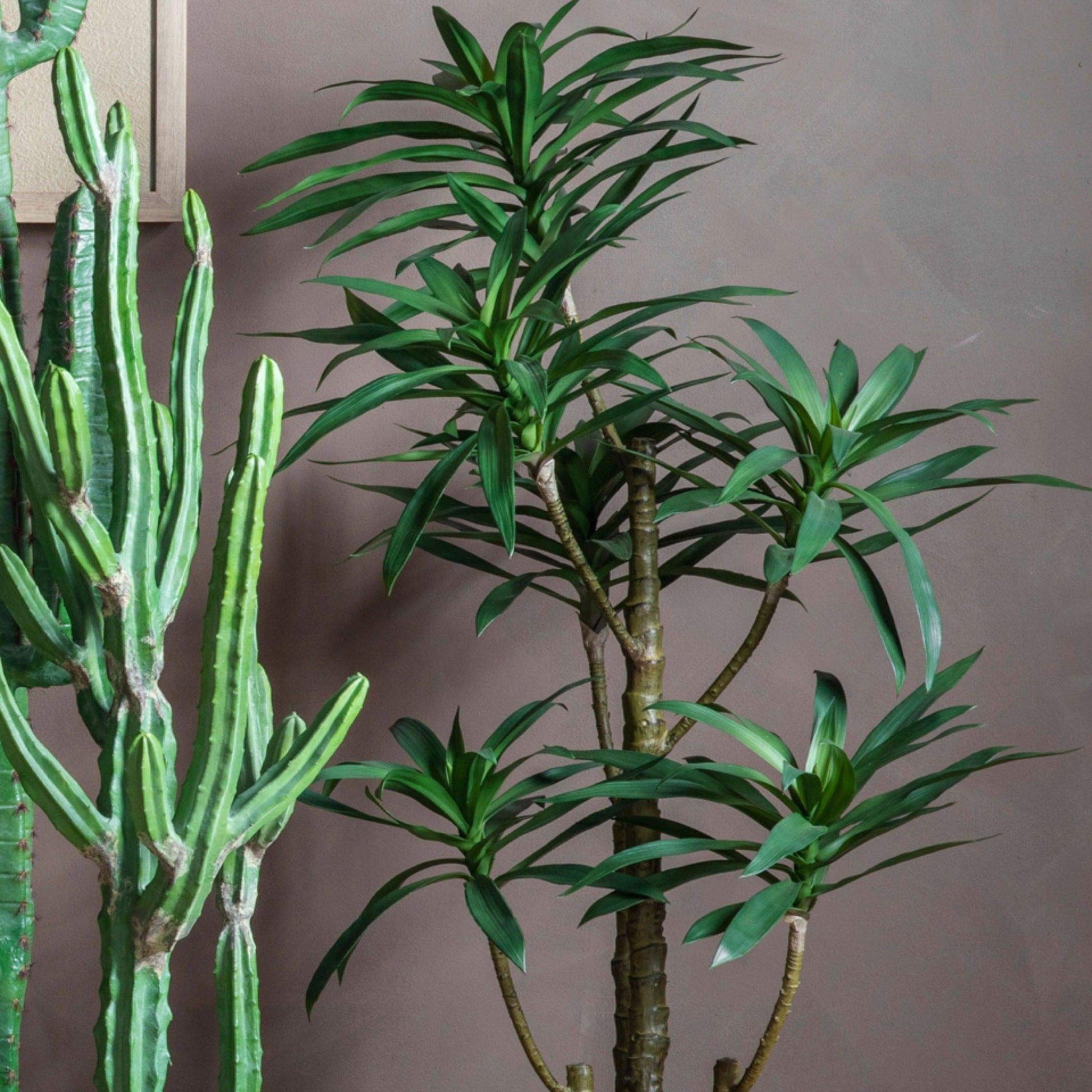 Large Faux Green Yucca Plant - The Farthing