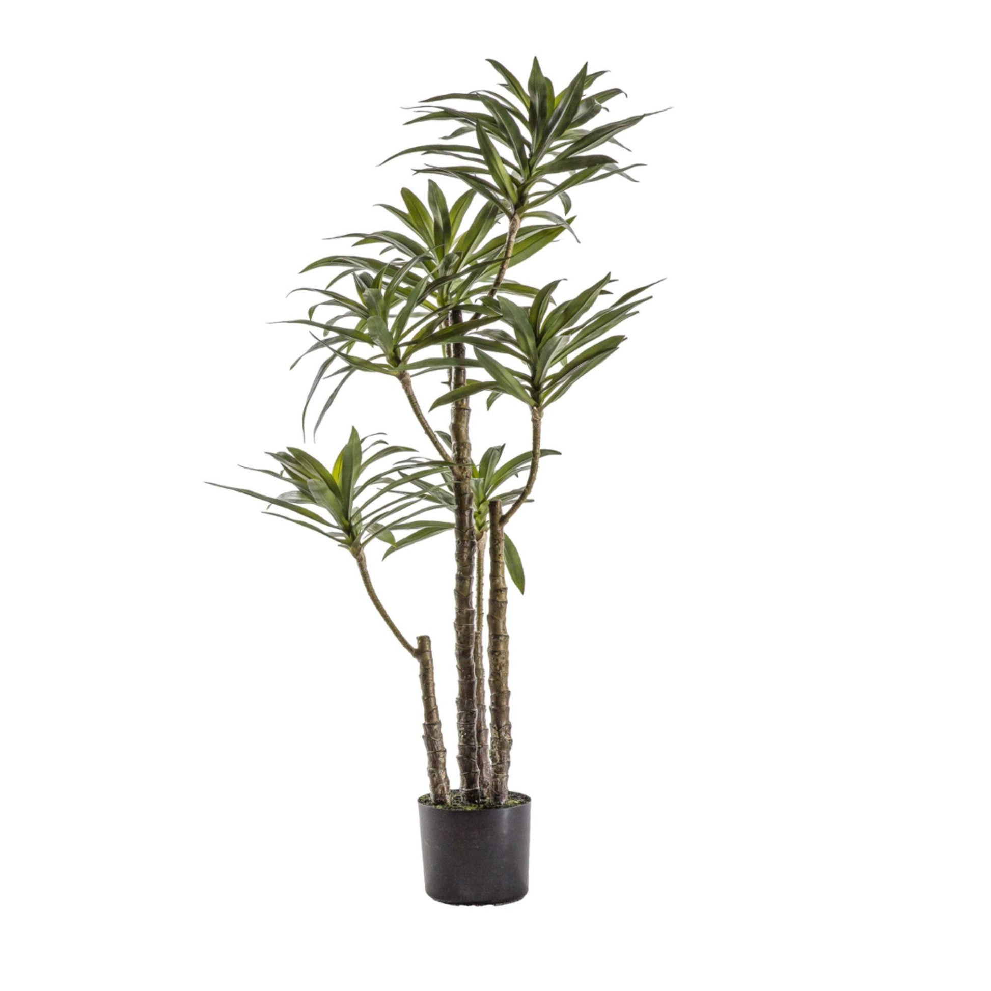 Large Faux Green Yucca Plant - The Farthing