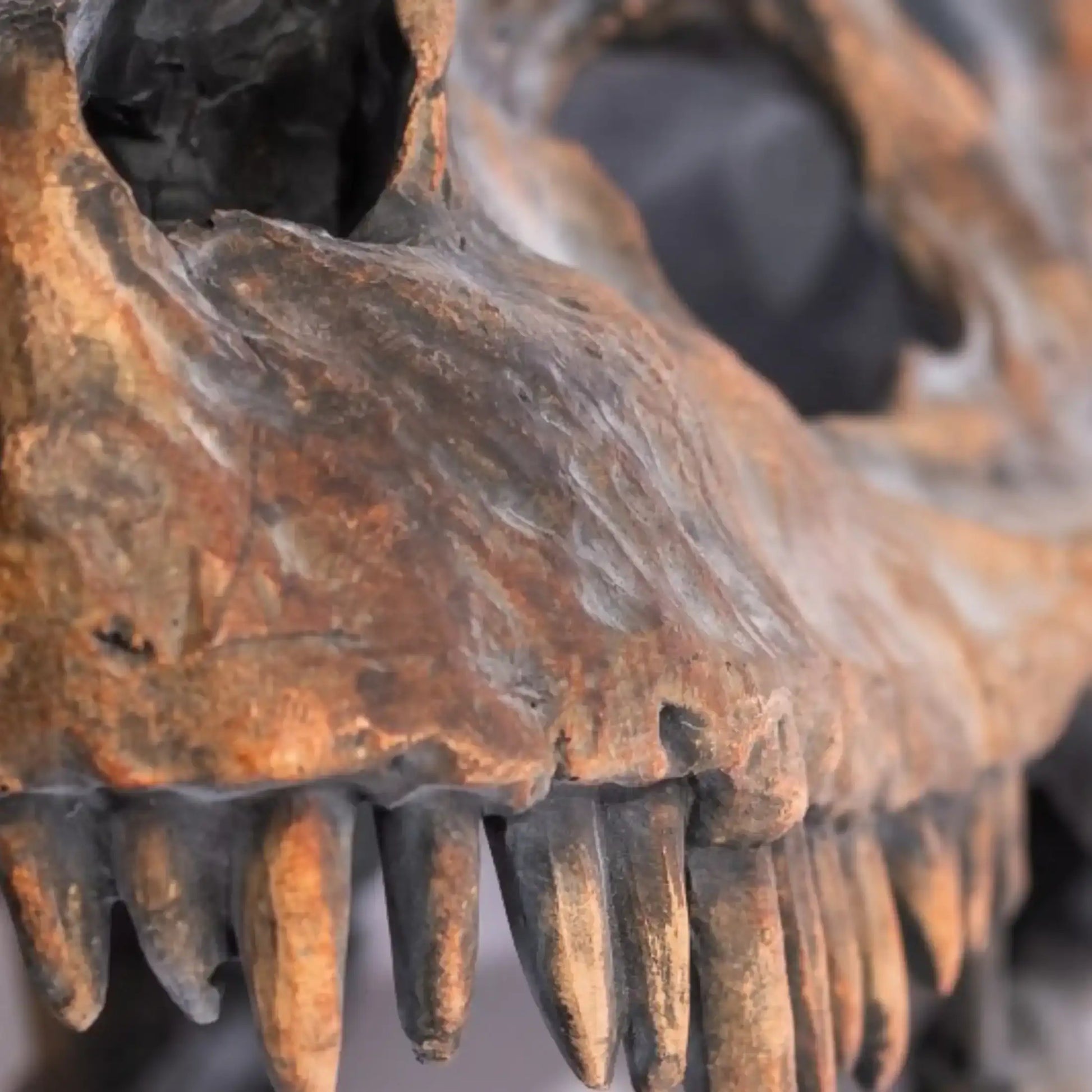 Close-up of a rusted metal gear with teeth on a blurred background