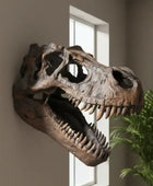 Dinosaur skull mount on a wall in a room with a plant and large windows.