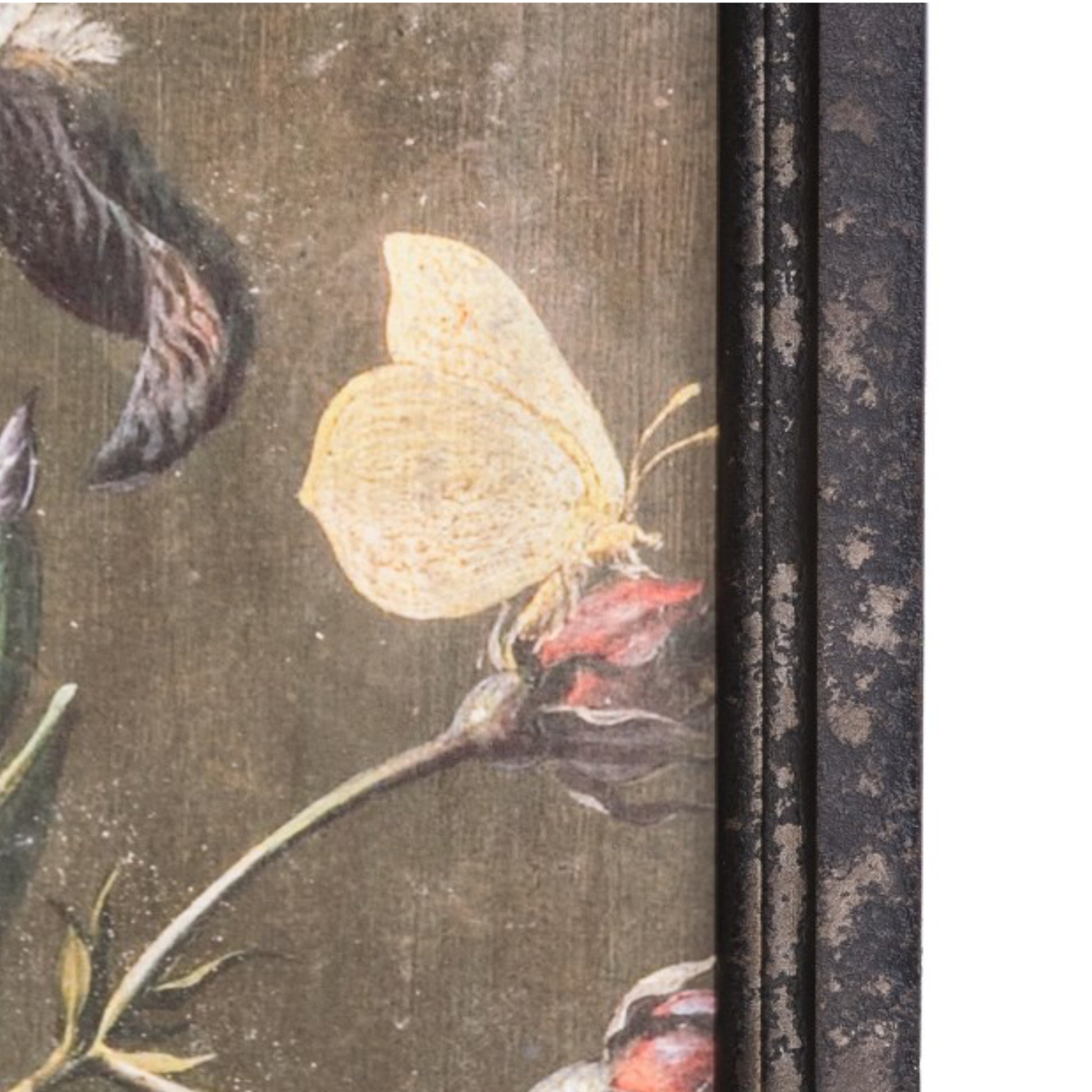 Butterfly on a branch with a dark, textured border
