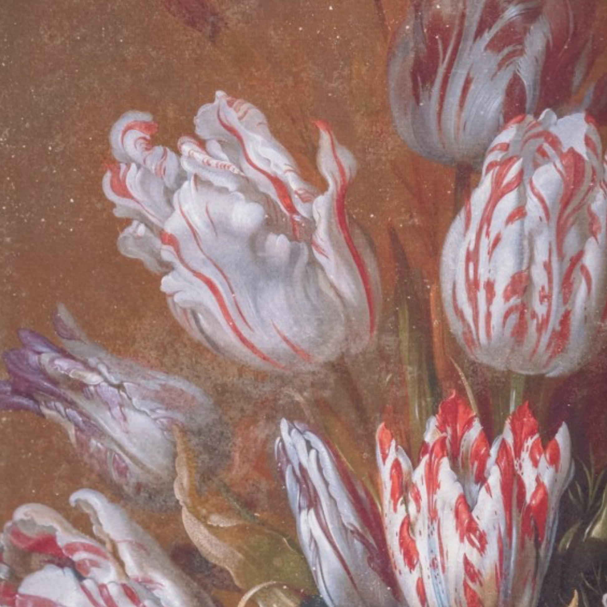 Close-up of a painting of tulips with red and white stripes on a brown background