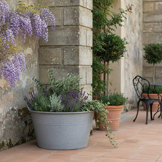 Potted plants with purple flowers on a stone patio