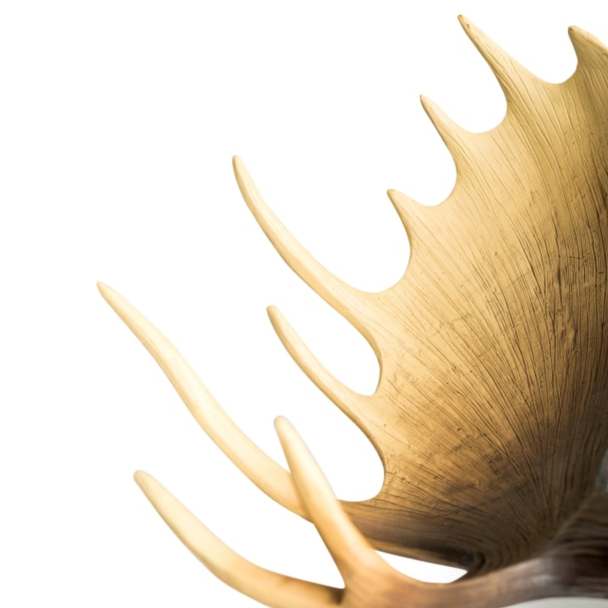 Large Moose Head Wall Art Decoration 5