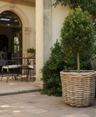 Outdoor patio area with potted plants and a table set for dining.