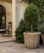 Potted plants in a courtyard with a stone patio and columns.