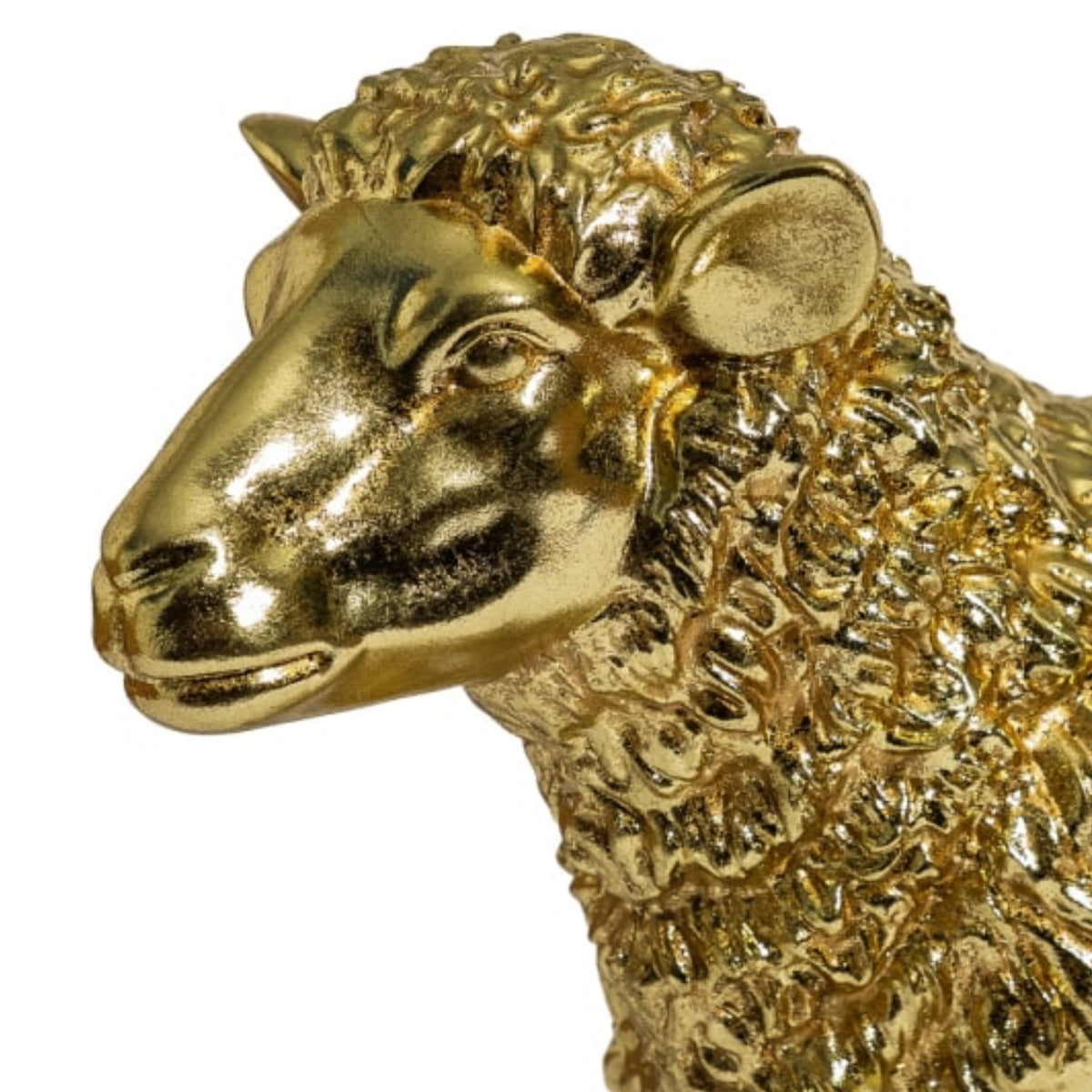 A close-up of a metallic gold sheep figurine, showing its textured wool and detailed head profile against a plain white background.
