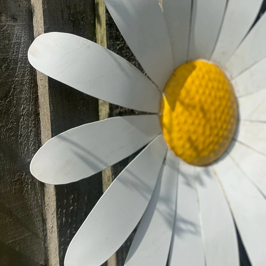 Large White Daisy Garden Wall Art