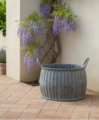 Decorative gray planter with wisteria plant against a beige wall on a patio.